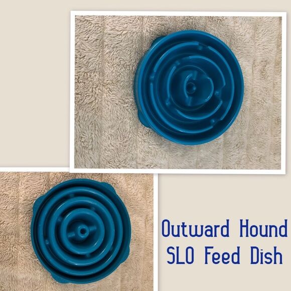 Outward Hound Non-Skid Plastic Slow Feeder Interactive Dog Bowl - Picture 1 of 4
